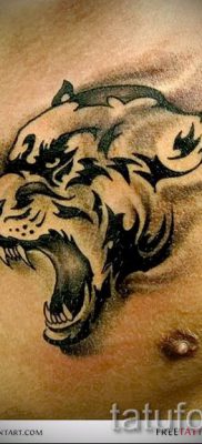 Valoarea tatuajului puma - semnificație, istorie și exemple de tatuaje pe fotografie