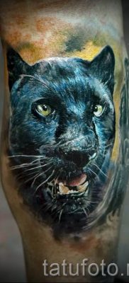 Valoarea tatuajului puma - semnificație, istorie și exemple de tatuaje pe fotografie