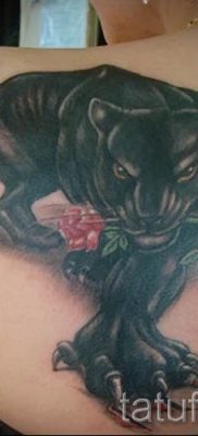 Valoarea tatuajului puma - semnificație, istorie și exemple de tatuaje pe fotografie