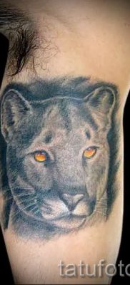 Valoarea tatuajului puma - semnificație, istorie și exemple de tatuaje pe fotografie