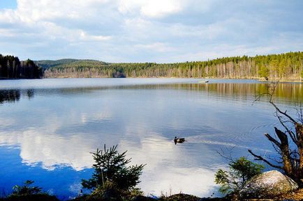 10 Місць в осло, куди ходять самі ословци