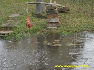 Аерація води в ставку, розведення коропів