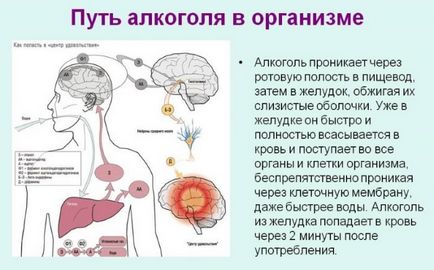 Alcoolul și hemoglobina scăzută afectează sângele uman