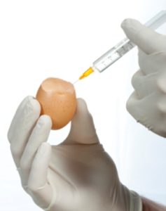 Алергія на яйця (курячі, перепелині) у дітей і дорослих прояви, симптоми і лікування