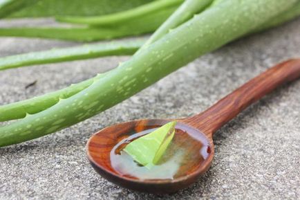 Aloe vera készítmény, gyógyszer tulajdonságait és hatékonyságát a herpes vírussal szemben