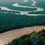 Amazonas Dolphin - az egyik legszebb lakói dél-amerikai folyók