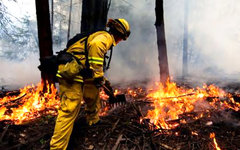 Aveți grijă de pădure! Cum să se comporte în pădure pentru a preveni un incendiu