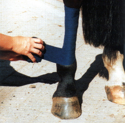 Бинти для ніг коня флісові, трикотажні, акрилові, вовняні і еластичні