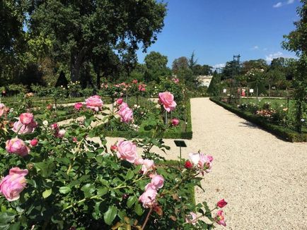 Bois de Boulogne