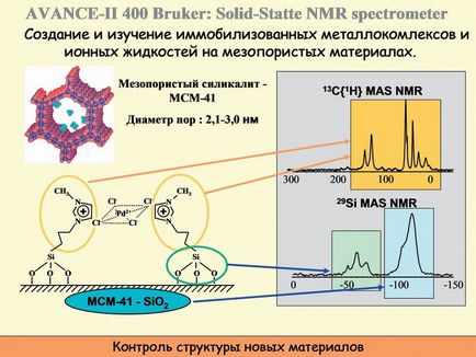 Центр магнітної томографії і спектроскопії (цмтс мгу)