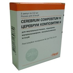 Церебрум композитум - інструкція, відгуки, застосування, популярна медицина