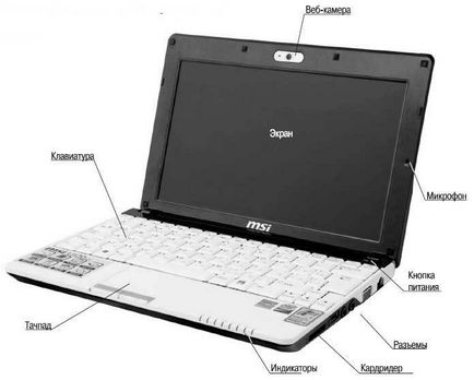 Citiți o lucrare de auto-explicativă pe un netbook - Senkevich g