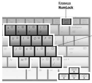 Citiți o lucrare de auto-explicativă pe un netbook - Senkevich g