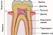 Coroana de zirconiu pe dintele din față Caracteristicile instalației, indicații, prețuri