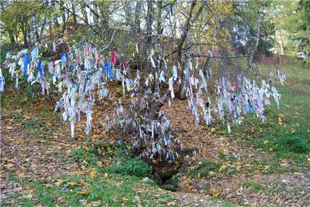 Ziua de panglici colorate, trăiesc într-un pozitiv