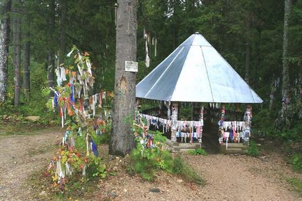 Ziua de panglici colorate, trăiesc într-un pozitiv