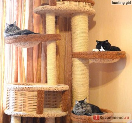 Будиночок для кішки будиночки і когтеточки від фірми пушок - «для ігор і відпочинку улюблених звірів