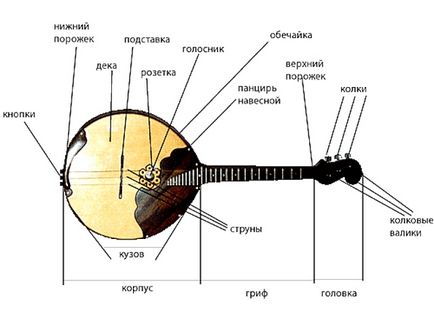 Dispozitivul Domra, producție, varietate de specii - muzică de centru de resurse