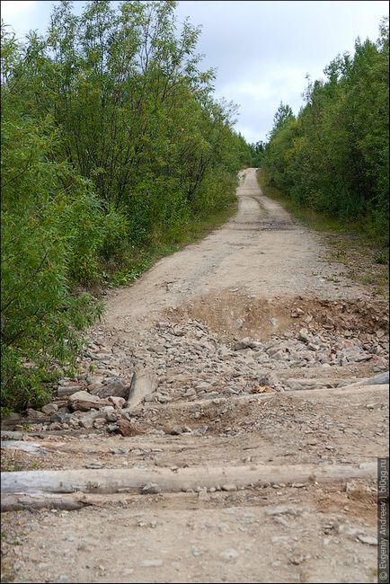 Дорога на 71 кордон Вішерський заповідника, блог євгенія андреева