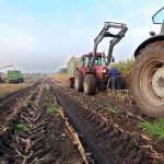 Subvenții pentru agricultori, ca perspectivă pentru dezvoltarea afacerilor agricole - portalul agricol