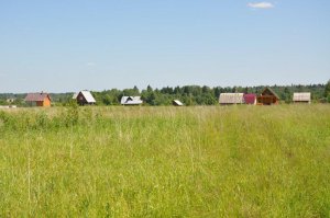 Subvenții pentru agricultori, ca perspectivă pentru dezvoltarea afacerilor agricole - portalul agricol