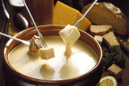 Enciclopedia fondue tot ce trebuie să știți despre gătit și servirea, rețete delicioase