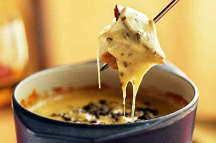 Enciclopedia fondue tot ce trebuie să știți despre gătit și servirea, rețete delicioase