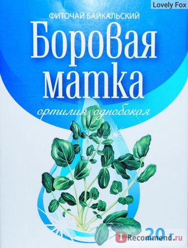 Фіточай ооо шавлія борова матка - «хороший засіб для лікування сальпінгоофориту», відгуки