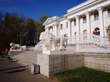 Фотосесія на Єлагіна острові в Харкові