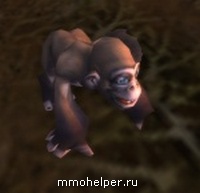 Hyde pentru animale de război rare în wow