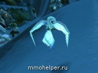 Hyde pentru animale de război rare în wow