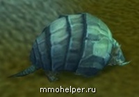 Hyde pentru animale de război rare în wow