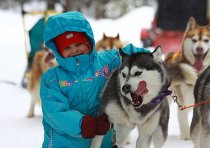 Amennyiben vezetni a Huskies a Moszkva és külvárosokban, raminfo (Husky) Amennyiben vezetni a Huskies a Moszkva és külvárosokban, raminfo