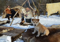 Amennyiben vezetni a Huskies a Moszkva és külvárosokban, raminfo