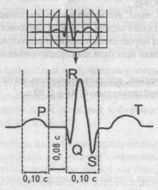 Generarea dinților de bază, intervale și segmente ecg - cardiolog - site despre bolile inimii și vaselor de sânge