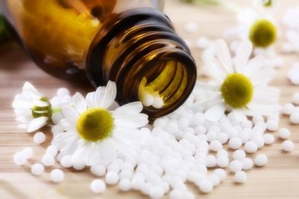 Homeopatie ambrosia (amroza) indicatii pentru utilizare