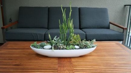 Idei pentru crearea unei grădini de casă - dați un colț elegant de viață sălbatică în casa dvs.