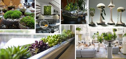 Ідеї ​​щодо створення домашнього саду - обладнайте елегантний куточок живої природи в своєму будинку