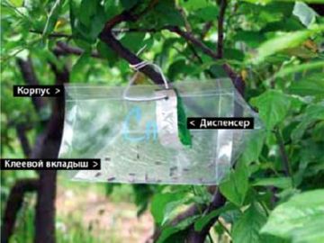 Використання препаратів і комах для біологічного методу захисту рослин від шкідників