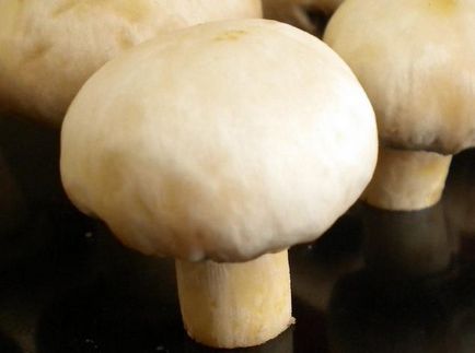 Як швидко почистити маслюки як почистити гриби поради