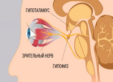 Як швидко за 1 день, поліпшити зір в домашніх умовах