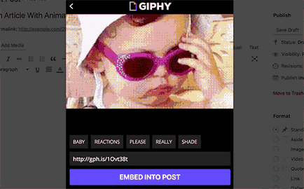 Cum se adaugă gifki de pe site-ul giphy în wordpress