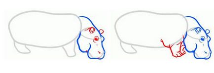 Cum să desenezi un hipopotam în creion, în etape, pentru copii