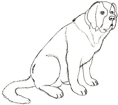 Cum de a desena un câine catelus în etape - cum să atragă un câine desen câine de rasa de câine St Bernard