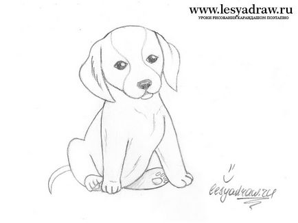 Як намалювати цуценя собаки поетапно - як намалювати собаку малюнок собаки породи сенбернар