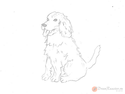 Як намалювати собаку - уроки малювання