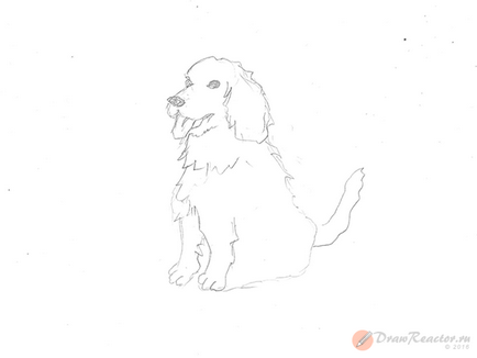 Як намалювати собаку - уроки малювання