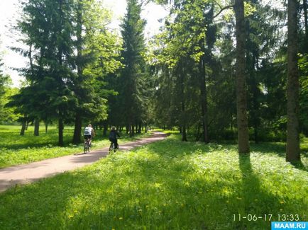 Як на світ з'являються казки