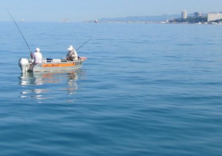 Як навчитися водити катери і яхти в сочи