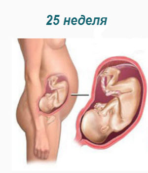 Cum să nu vă recuperați în timpul sarcinii, beremennost-i-rody